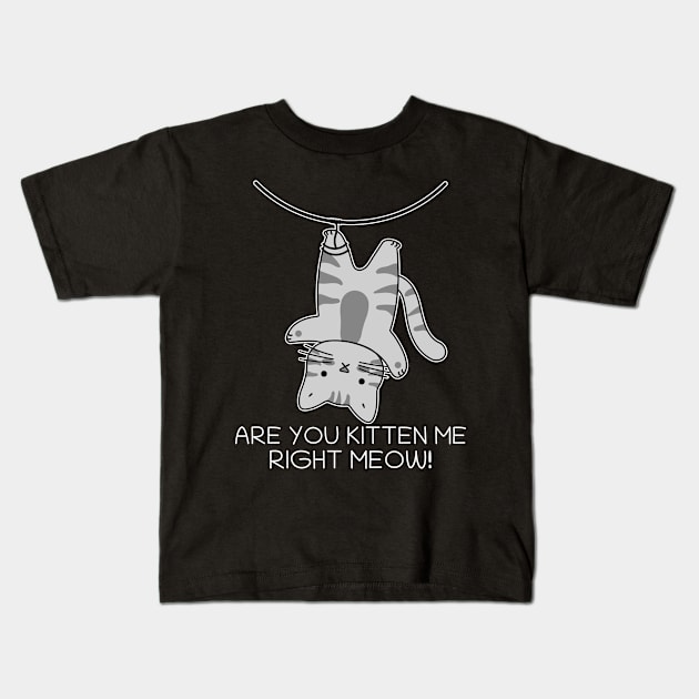 Are You Kitten Me Right Meow Kids T-Shirt by PorcupineTees